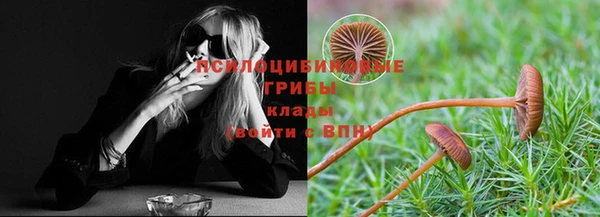 mdpv Остров