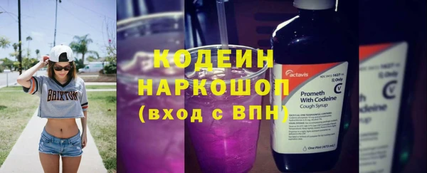крисы Осинники