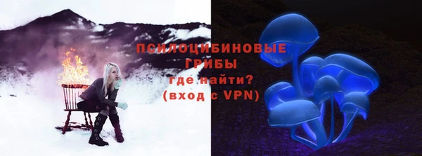 крисы Осинники