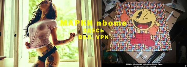 крисы Осинники