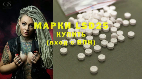 дурь Щигры