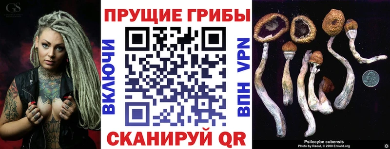 магазин продажи наркотиков  мега tor  Галлюциногенные грибы мицелий  Щёкино 